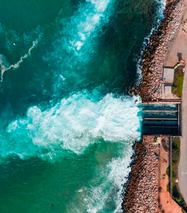 planta_puerto_cabello